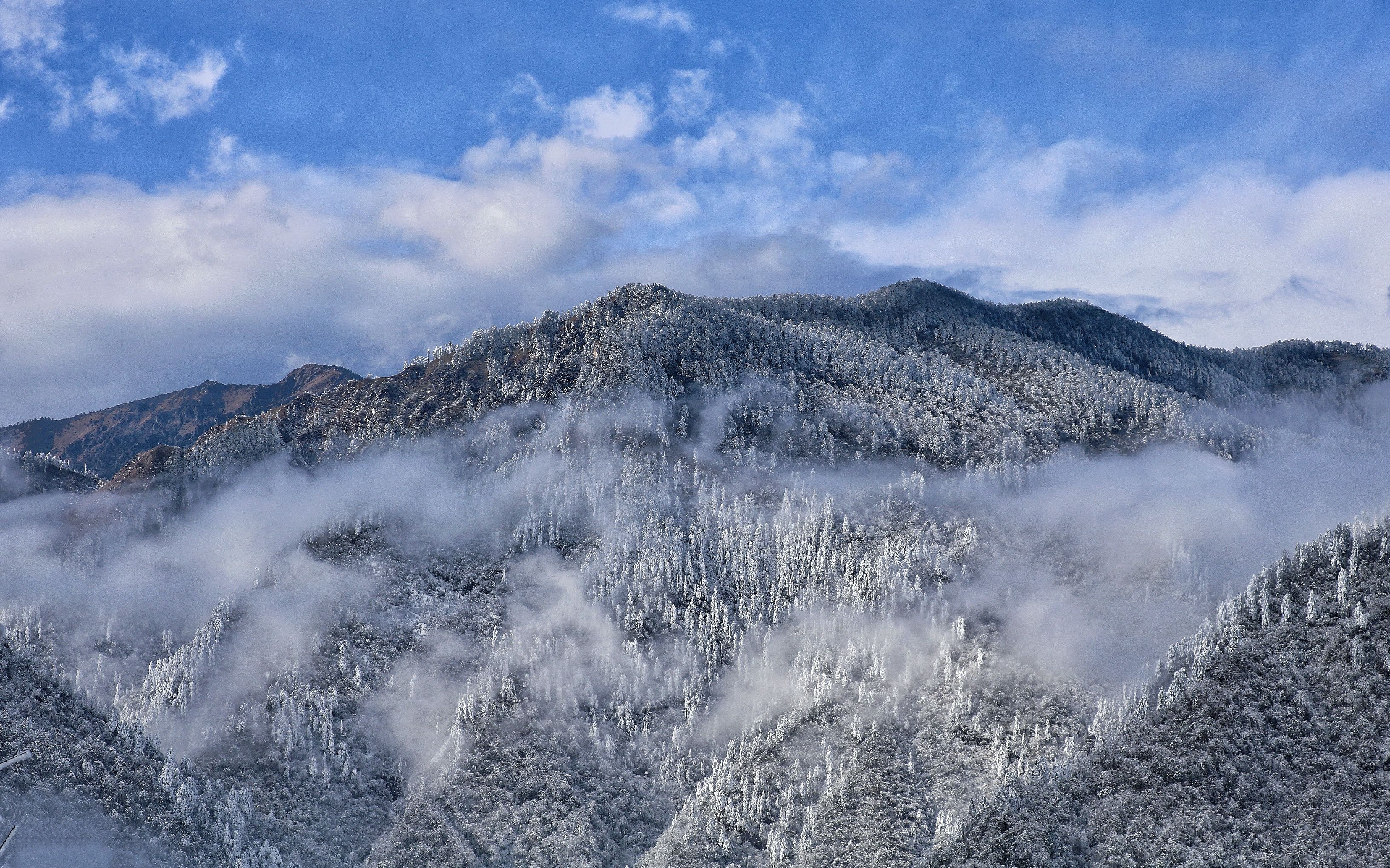 [图]从川大到西岭雪山