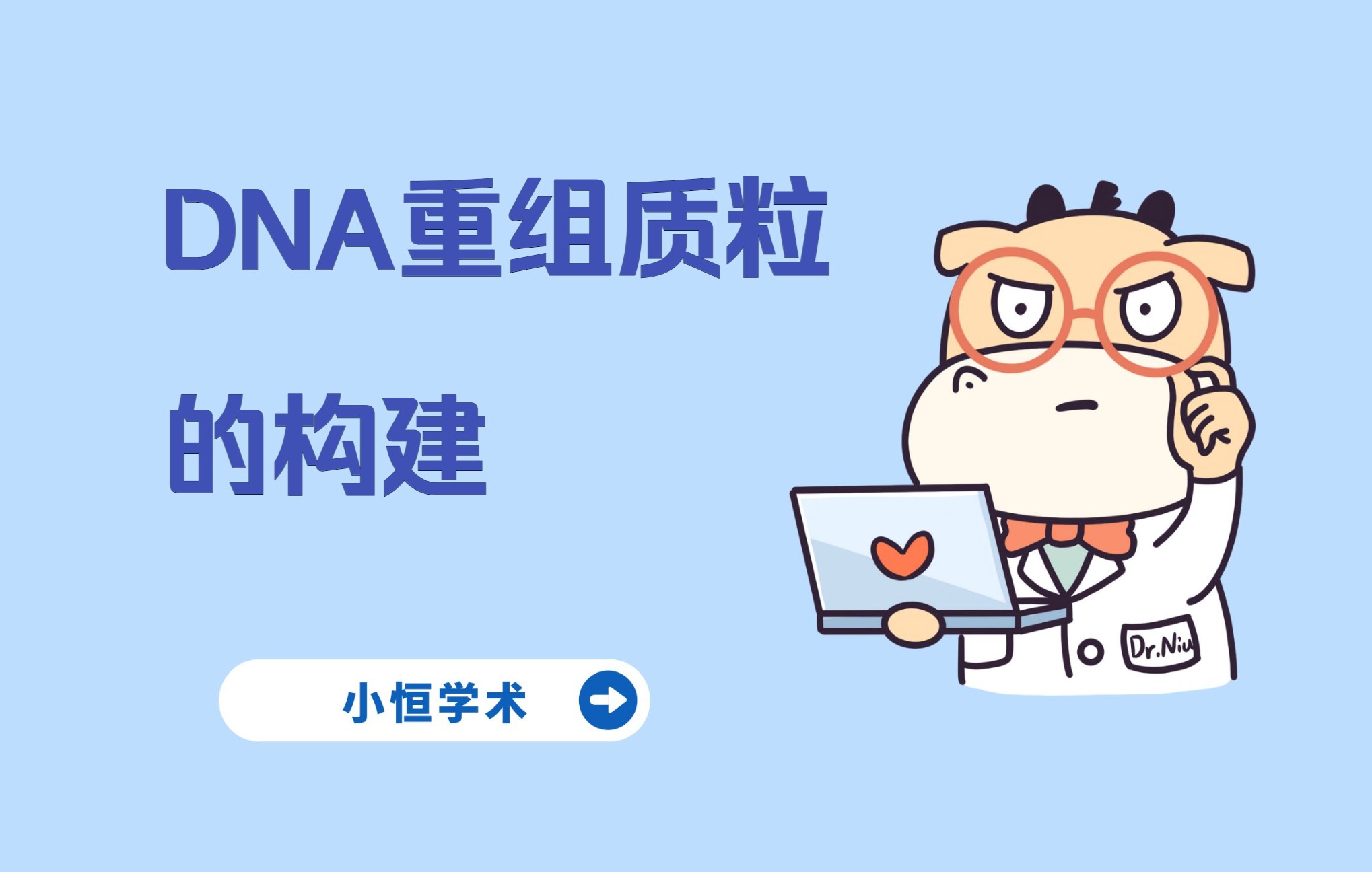 DNA重组质粒的构建哔哩哔哩bilibili