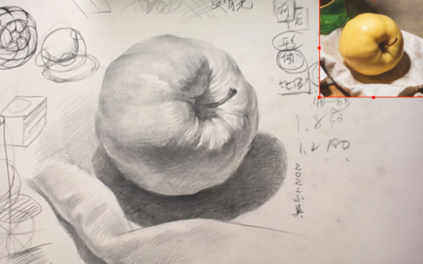 [图]【素描静物教程】I have a pencil，I have an apple，噢，苹果就画出来了！