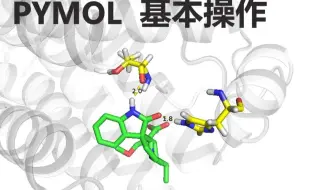 分子对接 三维可视化软件 PyMOL 操作简介