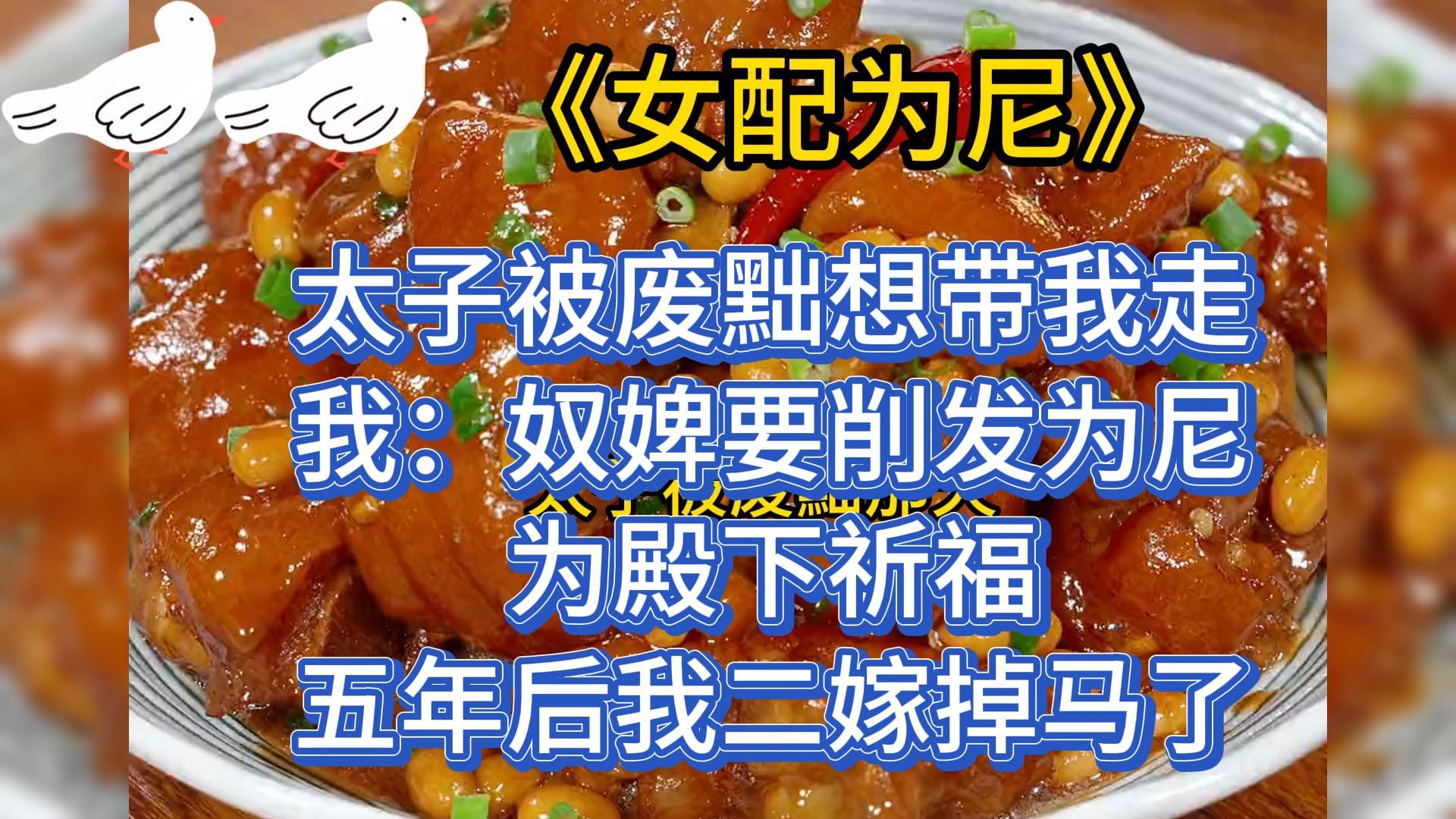 太子被废黜想带我走,我:奴婢要削发为尼,为殿下祈福.五年后我二嫁掉马了....哔哩哔哩bilibili