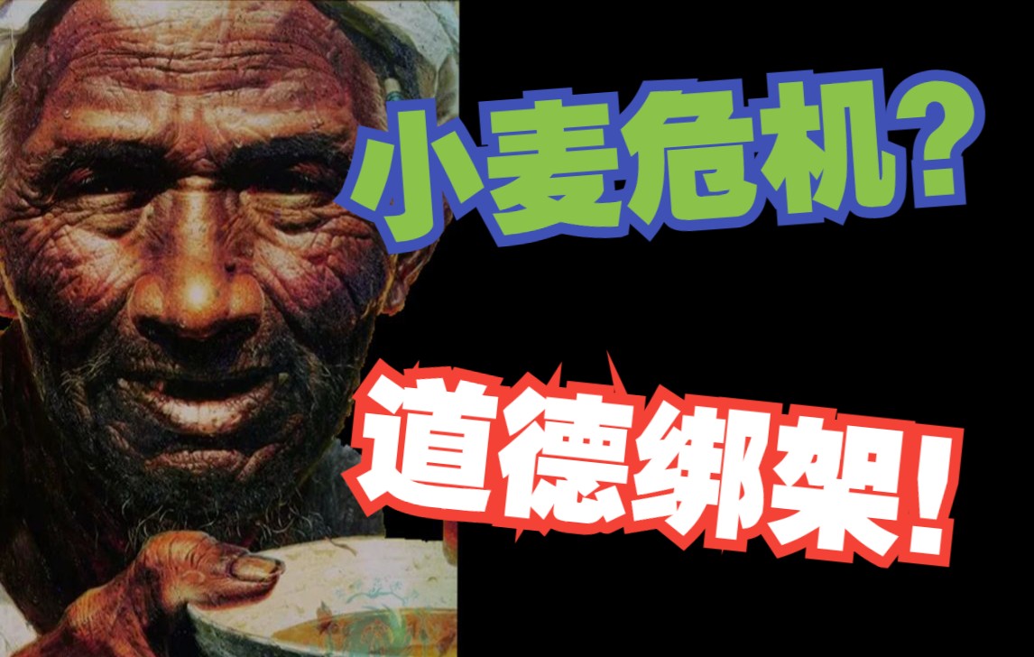 小麦危机?求求别再道德绑架农民!哔哩哔哩bilibili