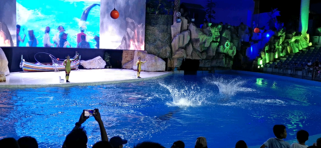 【十月在永川】乐和乐都主题公园,海豚表演