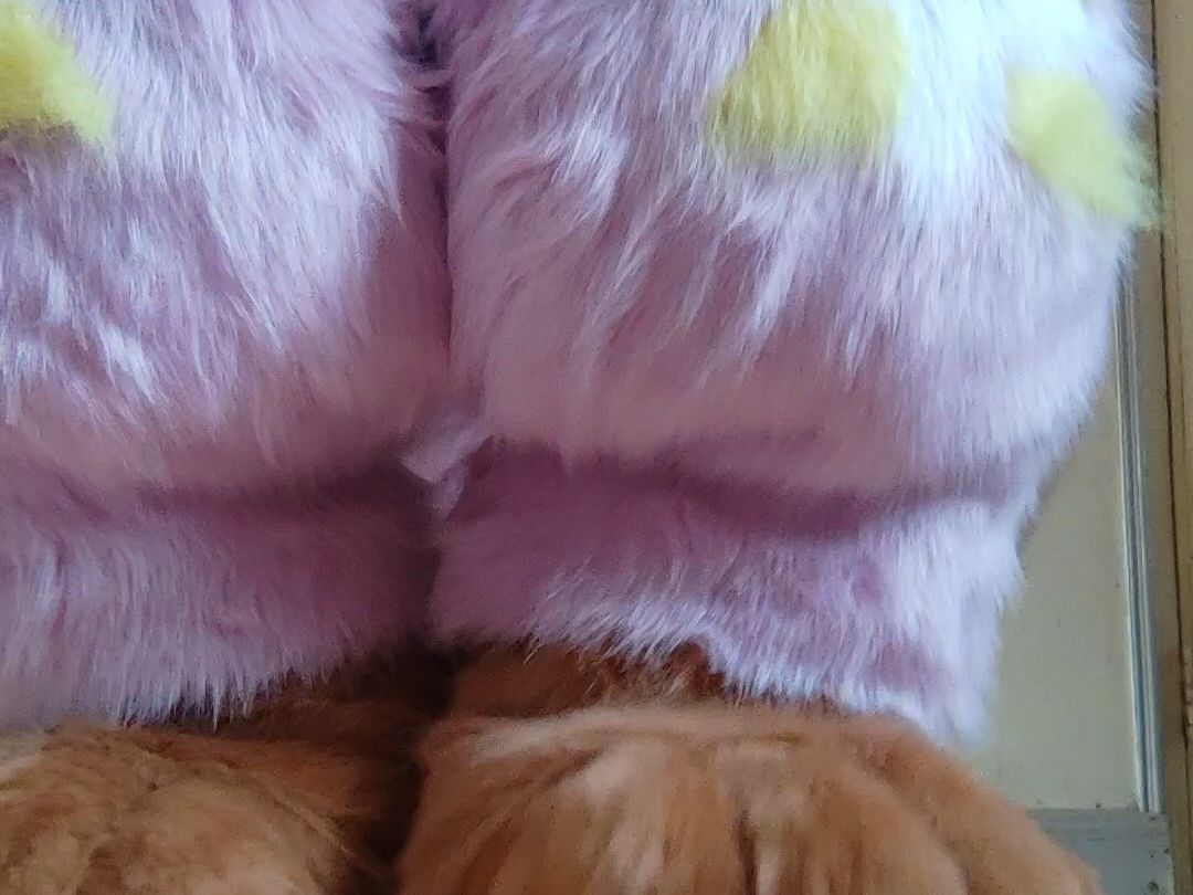 【兽装】给朋友做的可拆伪全曲腿