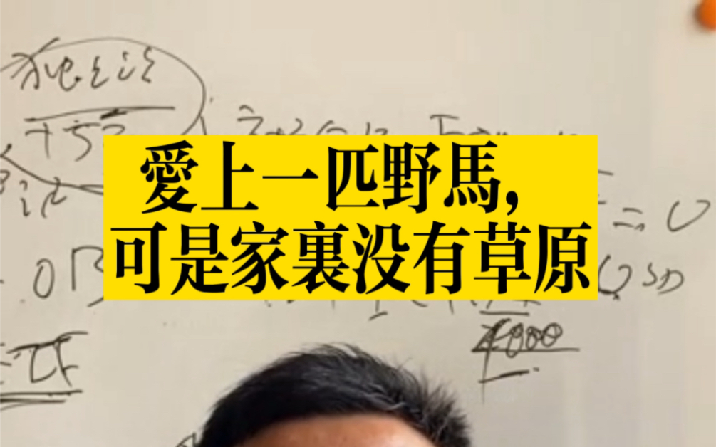 外贸小白如何谈下大客户买家?哔哩哔哩bilibili