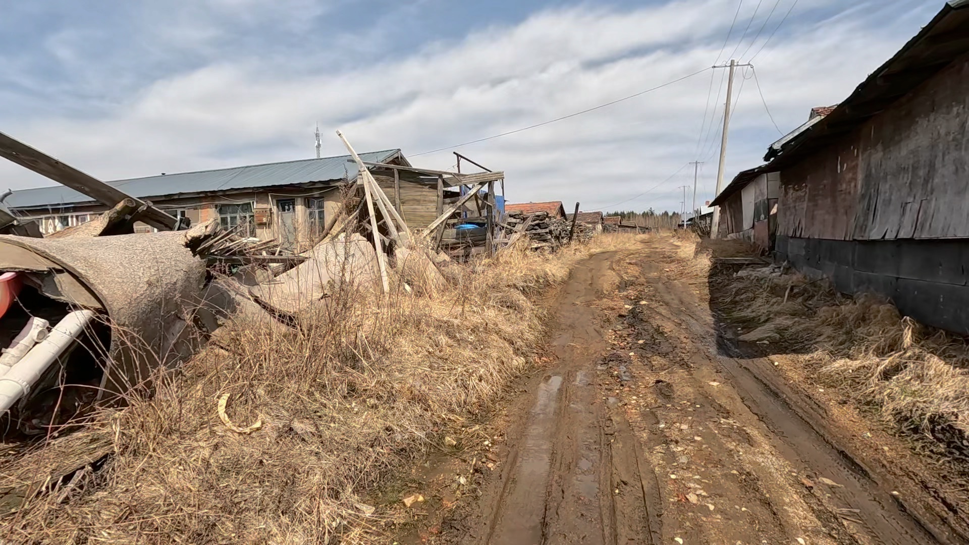 实拍东北农村,现状凄凉,成片的房子为啥不住了呢?