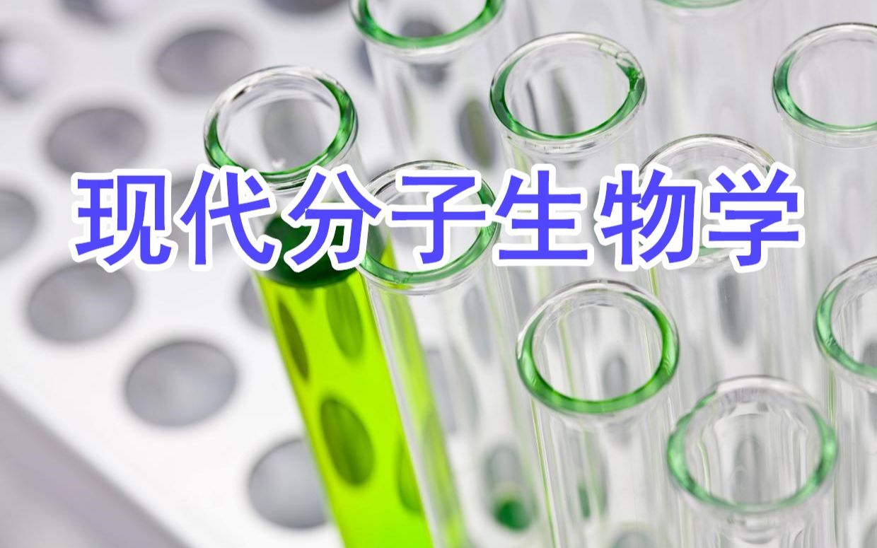 [图]5.13《现代分子生物学》-泛素化修饰介导的蛋白质降解