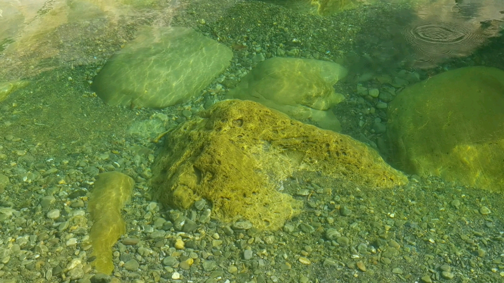 [图]夏天的宝藏玩水地，令人流连忘返！