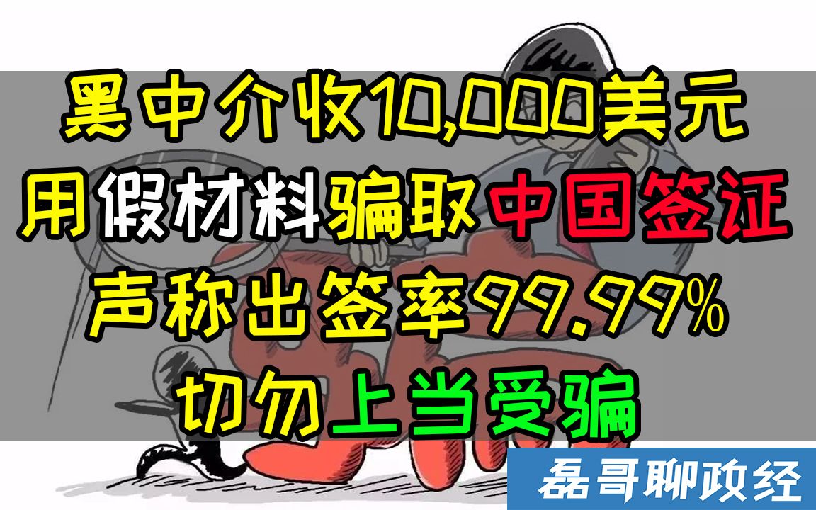 黑中介用假材料办中国签证要价10,000美元!?海外移民中介反向操作钱他赚责任你担,切勿上当!哔哩哔哩bilibili