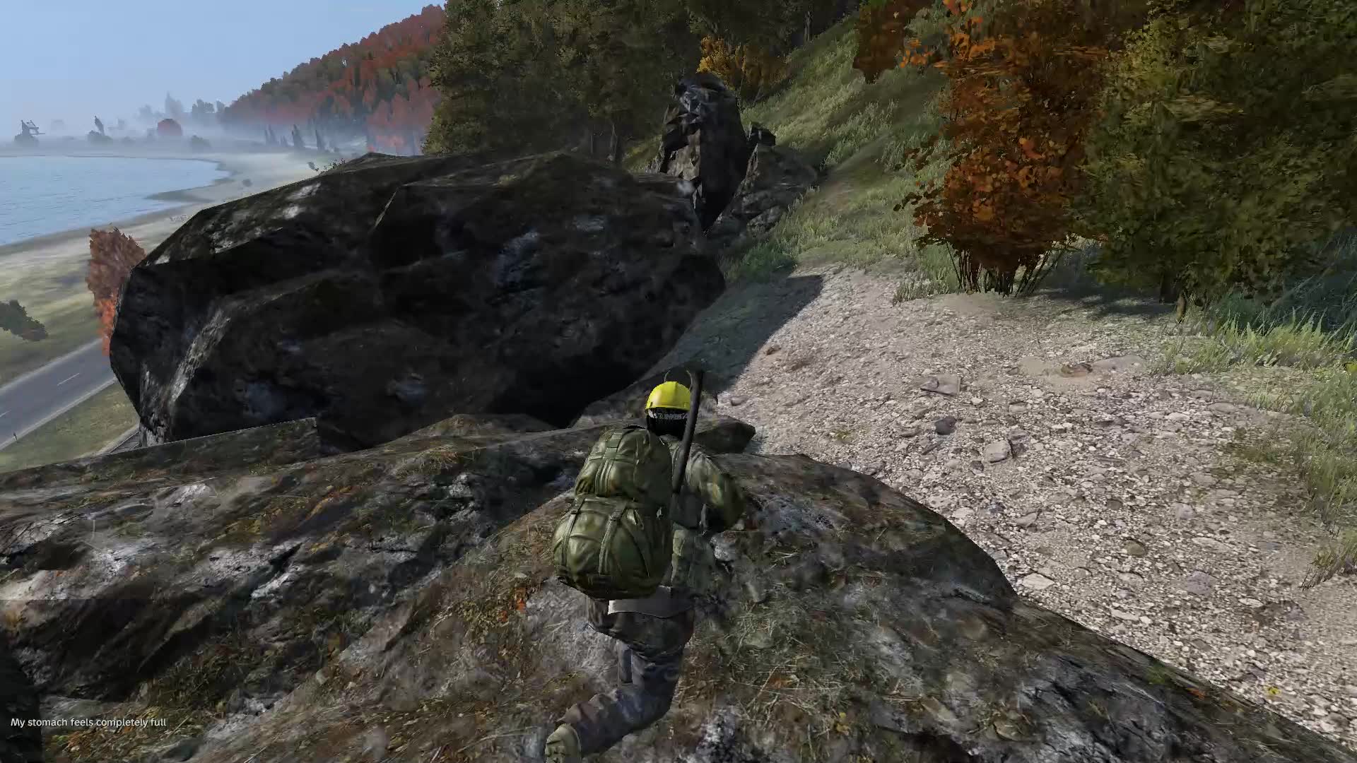 dayz百事服虐杀老外2