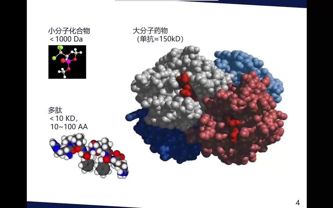 单抗药物LCMS/MS与ECL生物分析方法比较(Case Study: SHR1603和SHR1222)哔哩哔哩bilibili