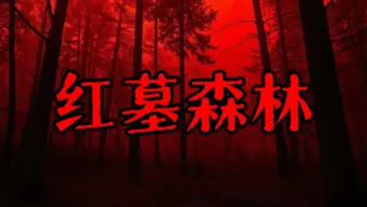 【规则类怪谈】跟随月亮，他会带你走出这片森林