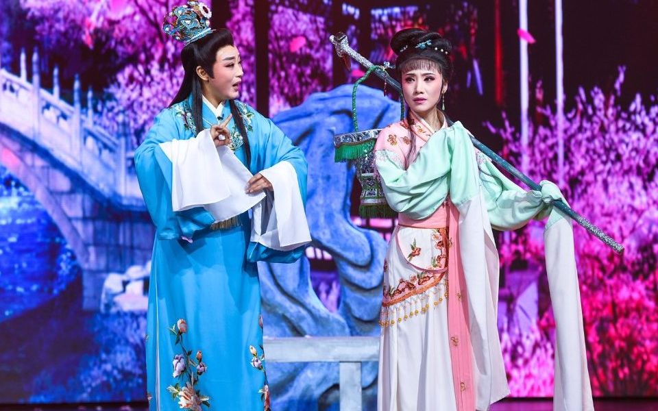 越剧红楼梦葬花选段     忻雅琴杨婷娜