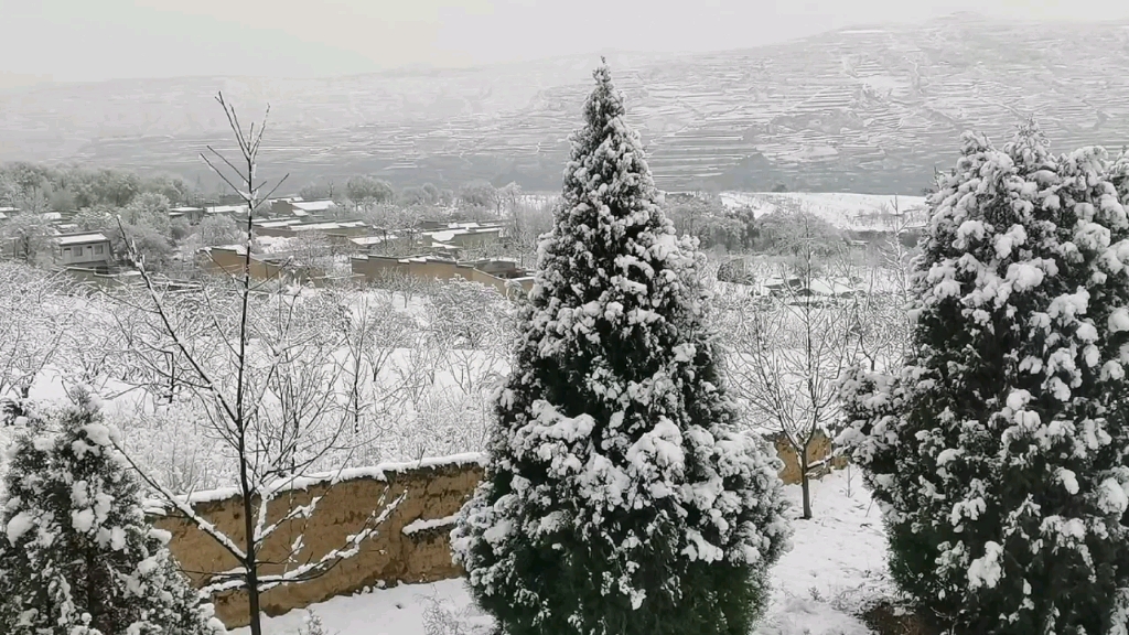 [图]雪，见者好运