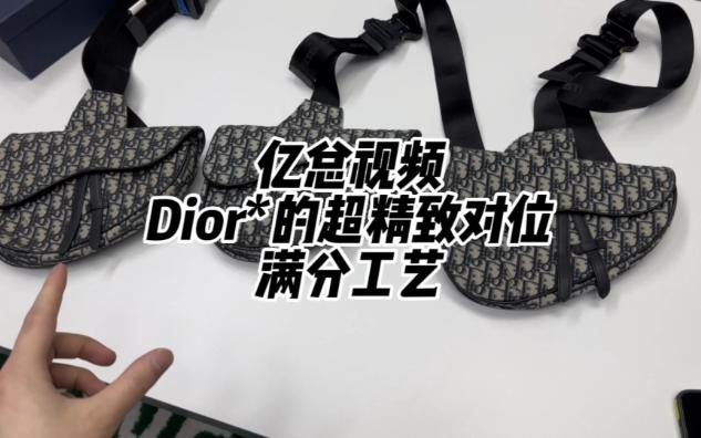 DIOR马鞍包 全网最全 细节讲解哔哩哔哩bilibili