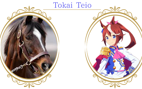 【赛马娘杂谈】带你认识不屈的意志奇迹的名马——东海帝王