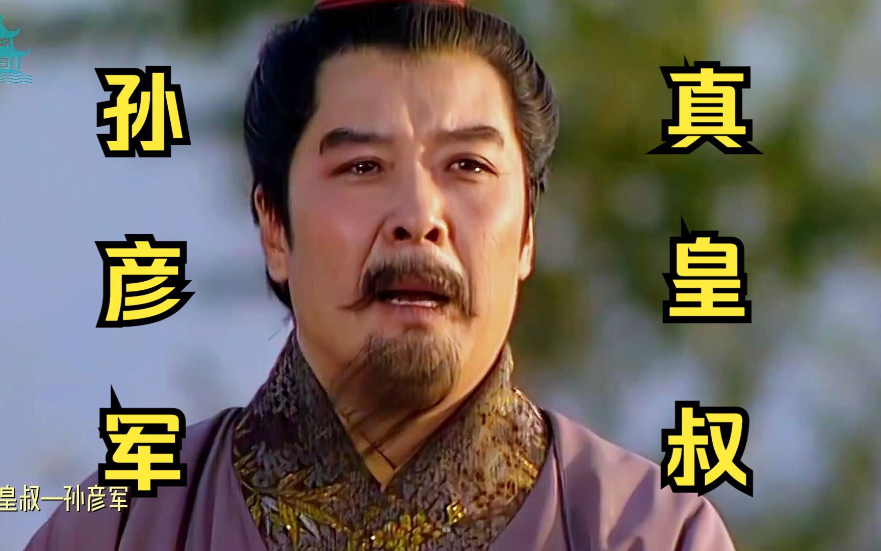 真刘皇叔—孙彦军