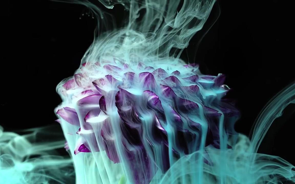 [图]See the Stunning Beauty of Flowers Exposed to Fire, Ice, and Ink凝固之美