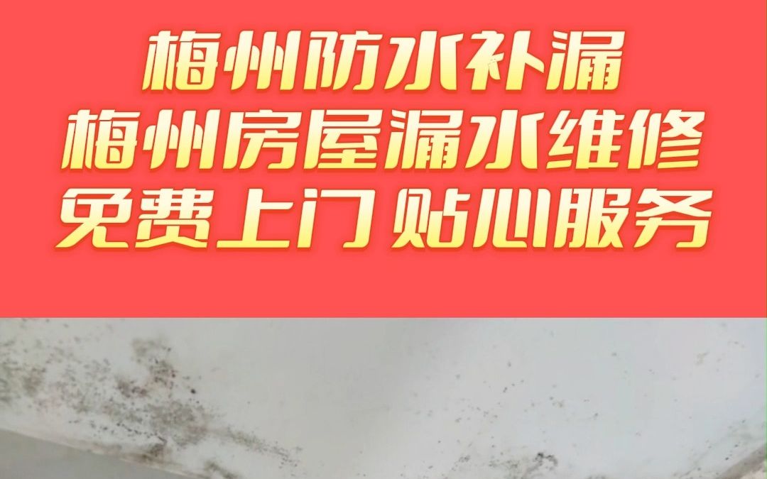 梅州窗台漏水维修,梅州屋顶防水补漏,梅州防水补漏,梅州房屋漏水维修哔哩哔哩bilibili