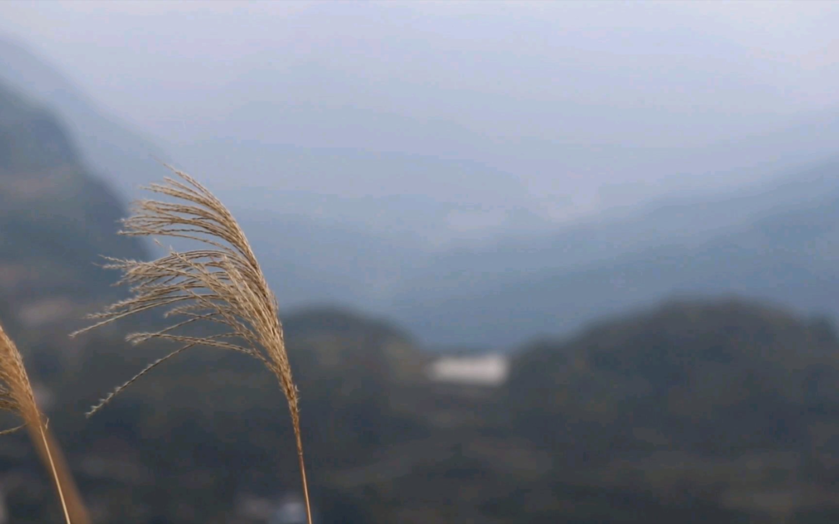 [图]此去经年，应是良辰美景虚设，便纵有千种风情，更与何人说