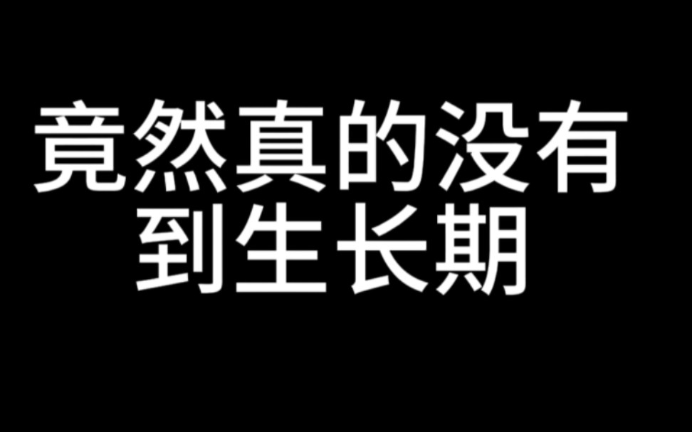 不愧是中原干部,连这些民间传说都了解的清清楚楚()哔哩哔哩bilibili