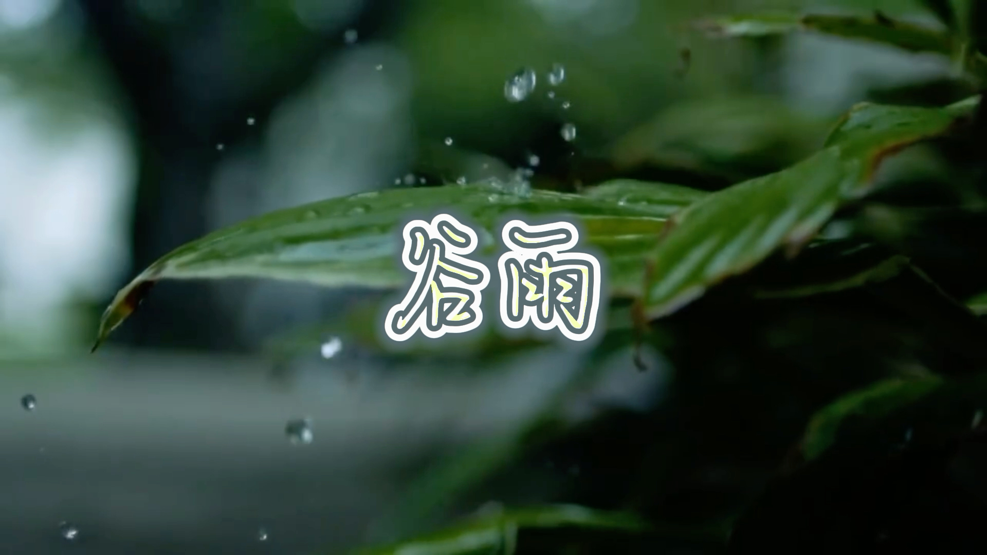 [图]谷雨の《谢中上人寄茶》