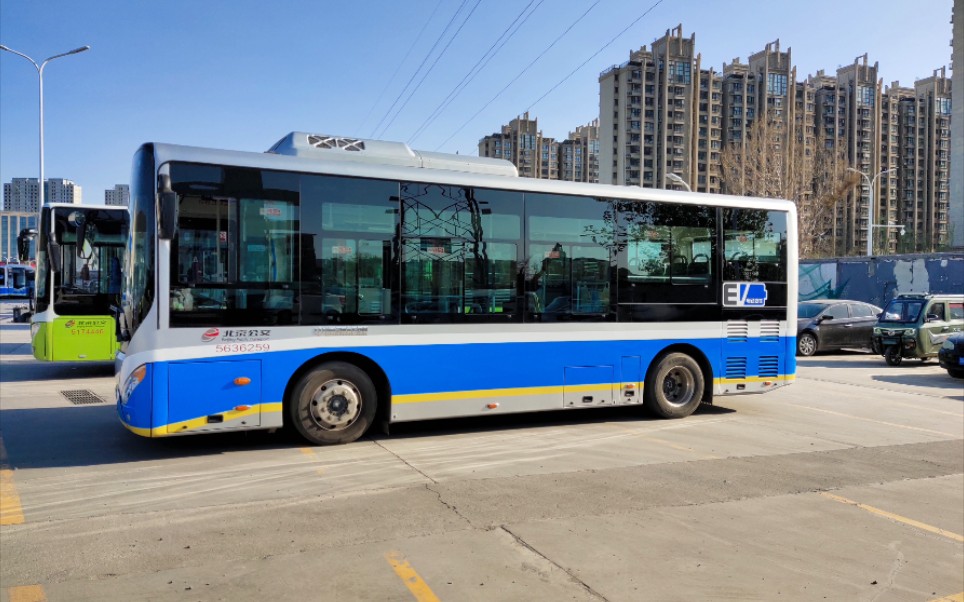 北京公交t113路中通8米乘坐体验