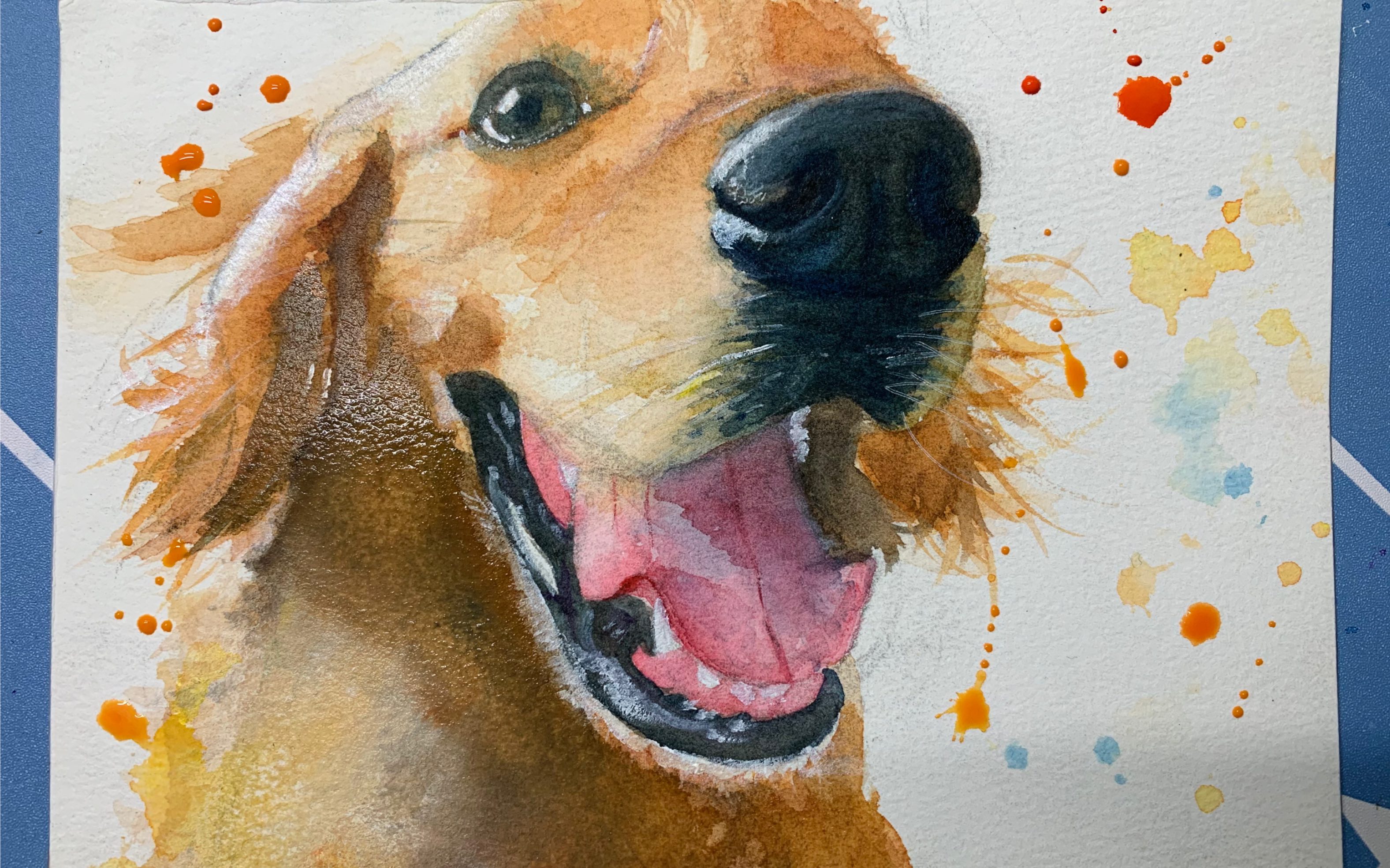 【水彩画】金毛 | 自学水彩打卡_哔哩哔哩 (゜-゜)つロ 干杯~-bili