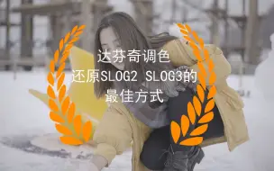 Download Video: 不要再用LUT还原SLOG画面了，达芬奇还原色彩的最佳方式。