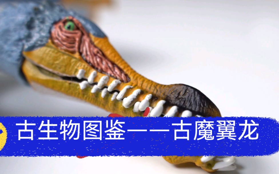 [图]古生物图鉴——古魔翼龙