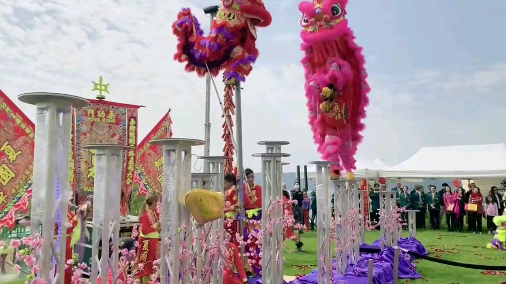 《佛山舞狮表演》19802335453佛山开业醒狮舞龙梅花桩,婚礼舞狮寿宴