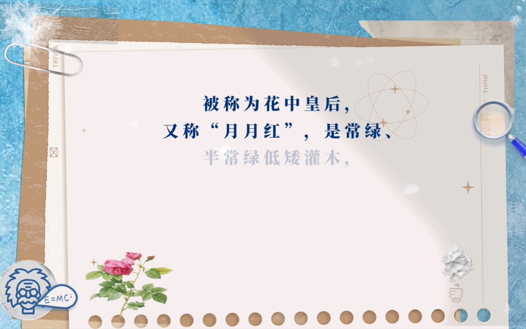 月季花 月季 知识哔哩哔哩bilibili