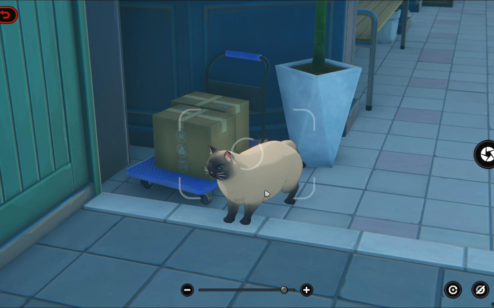 无意间看见是煤气罐猫猫