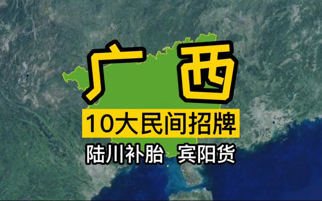 广西10大民间招牌:陆川补胎与宾阳货都在这里,更有玉林大番薯!哔哩哔哩bilibili