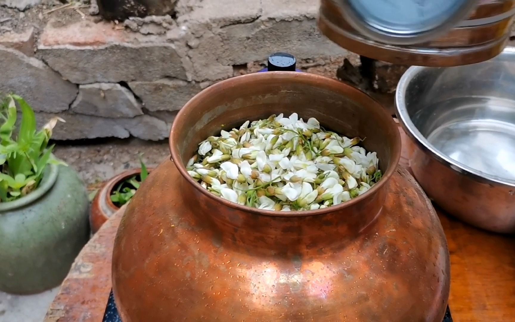 [图]大自然的馈赠-洋槐花 记忆中家乡的味道，蒸馏成纯露，留住芬芳