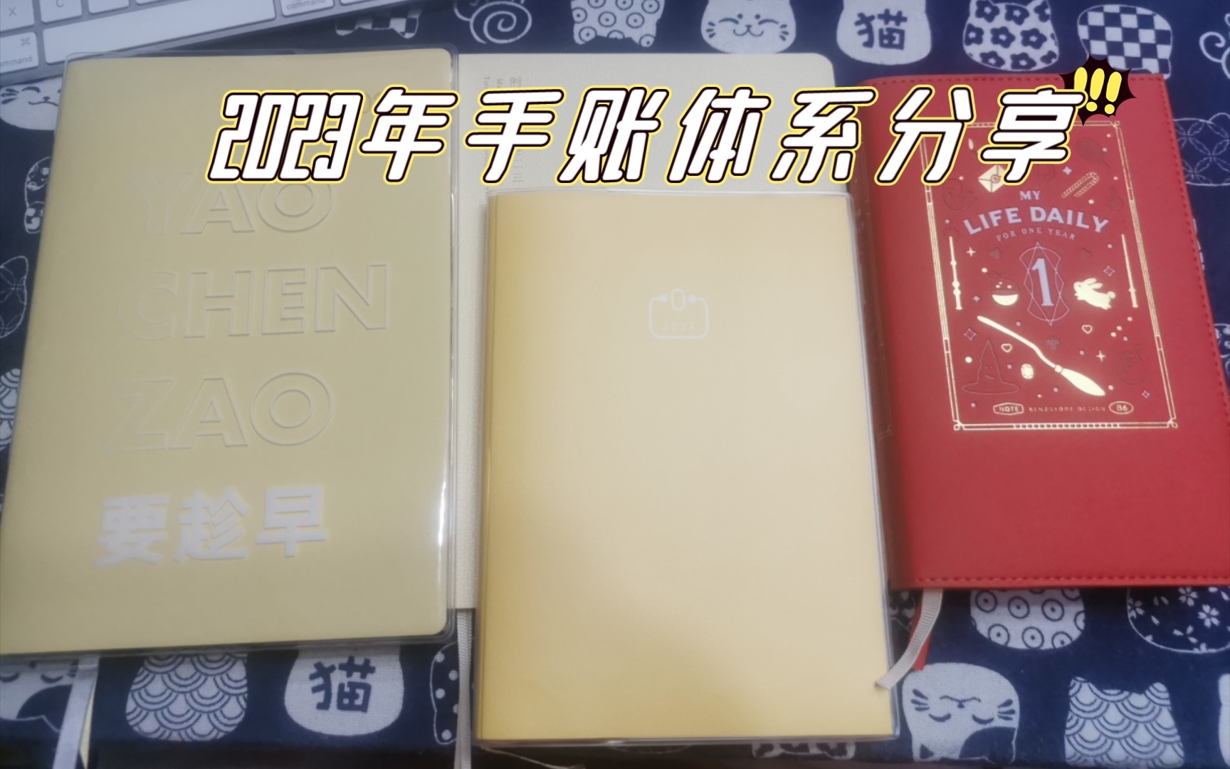 2023年手账分享:PAL手账、kinbor时间轴、趁早效率厚本、本子事多一日一页哔哩哔哩bilibili