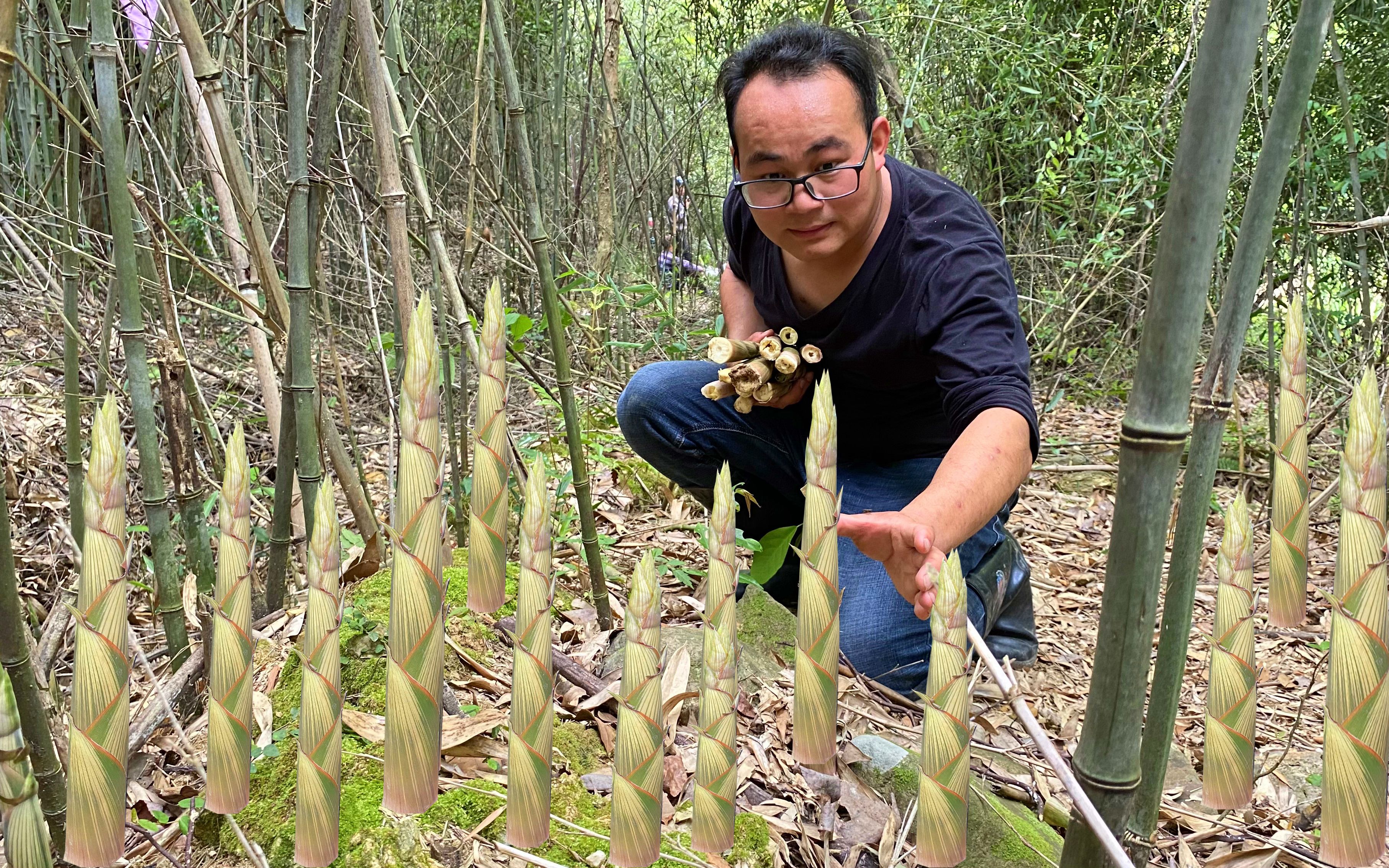 [图]和老乡进山拔笋卖钱，竹林野笋疯长拔得真过瘾，30分钟收获一大堆