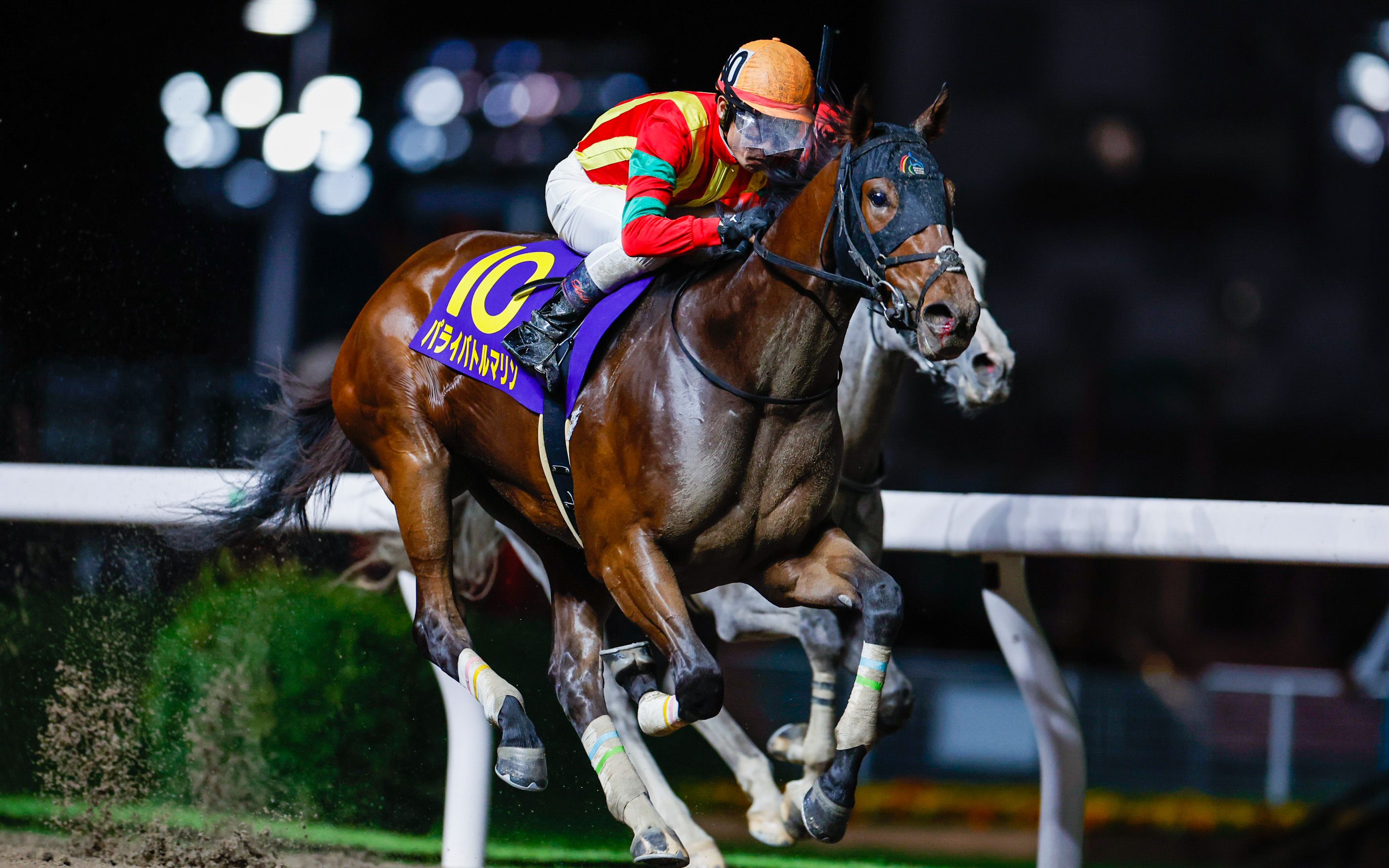 14 川崎競馬 第59回关东橡树大赛