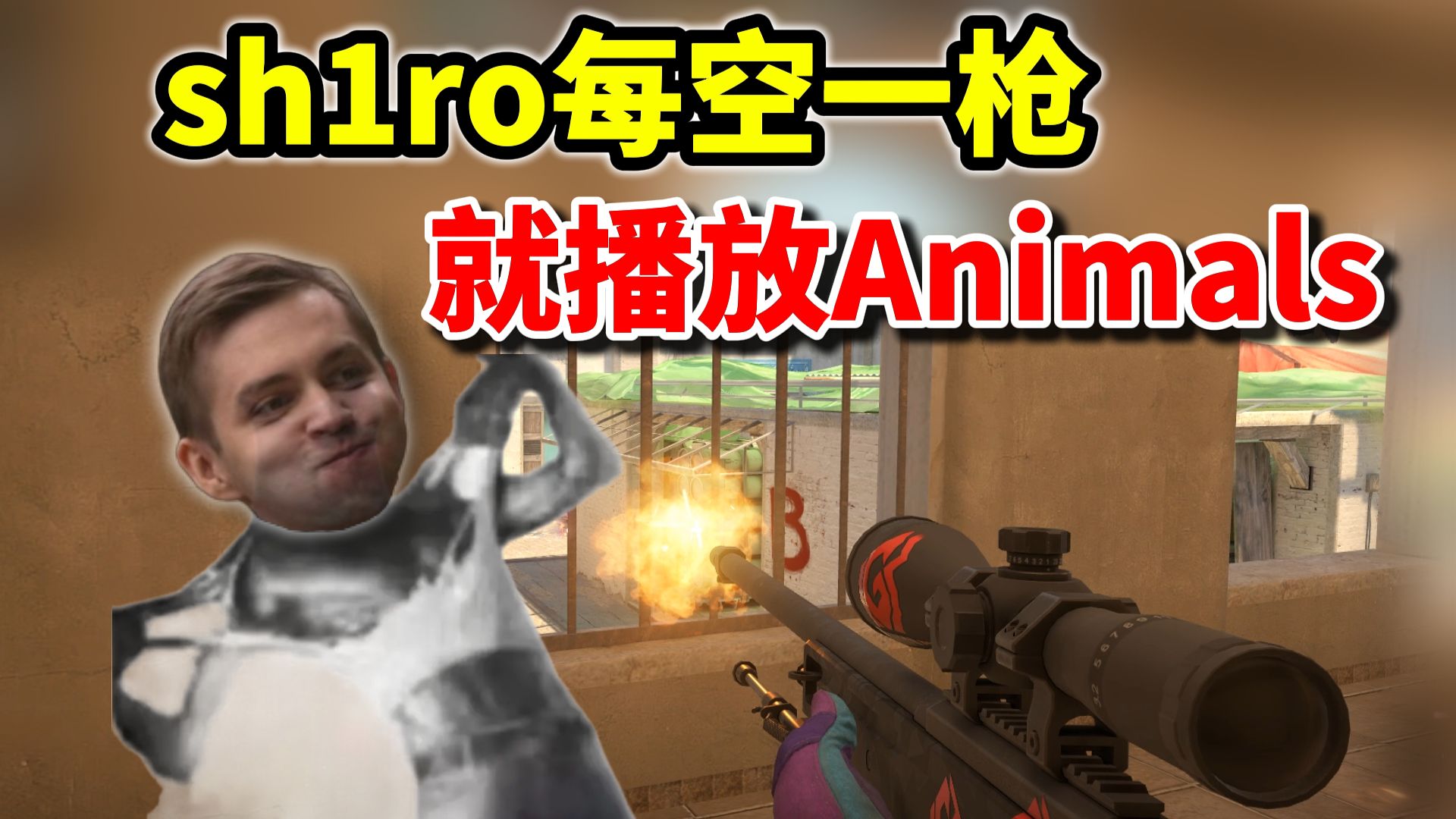打三线队，但sh1ro每空一枪就播放animals