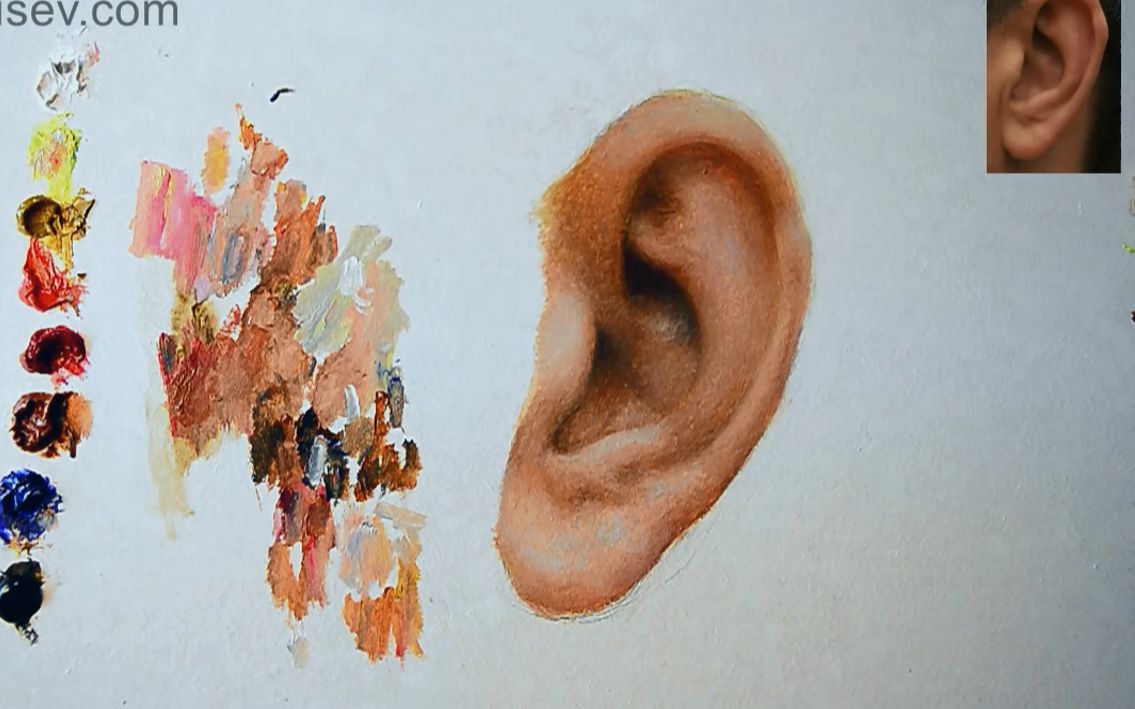 【油画技法】油画绘画新手入门如何画耳朵