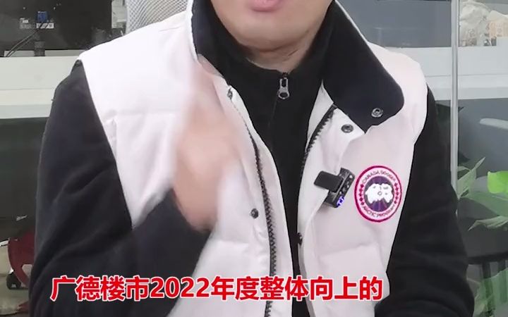 【楼市故事】2022、广德楼市走向会怎样?(下)哔哩哔哩bilibili