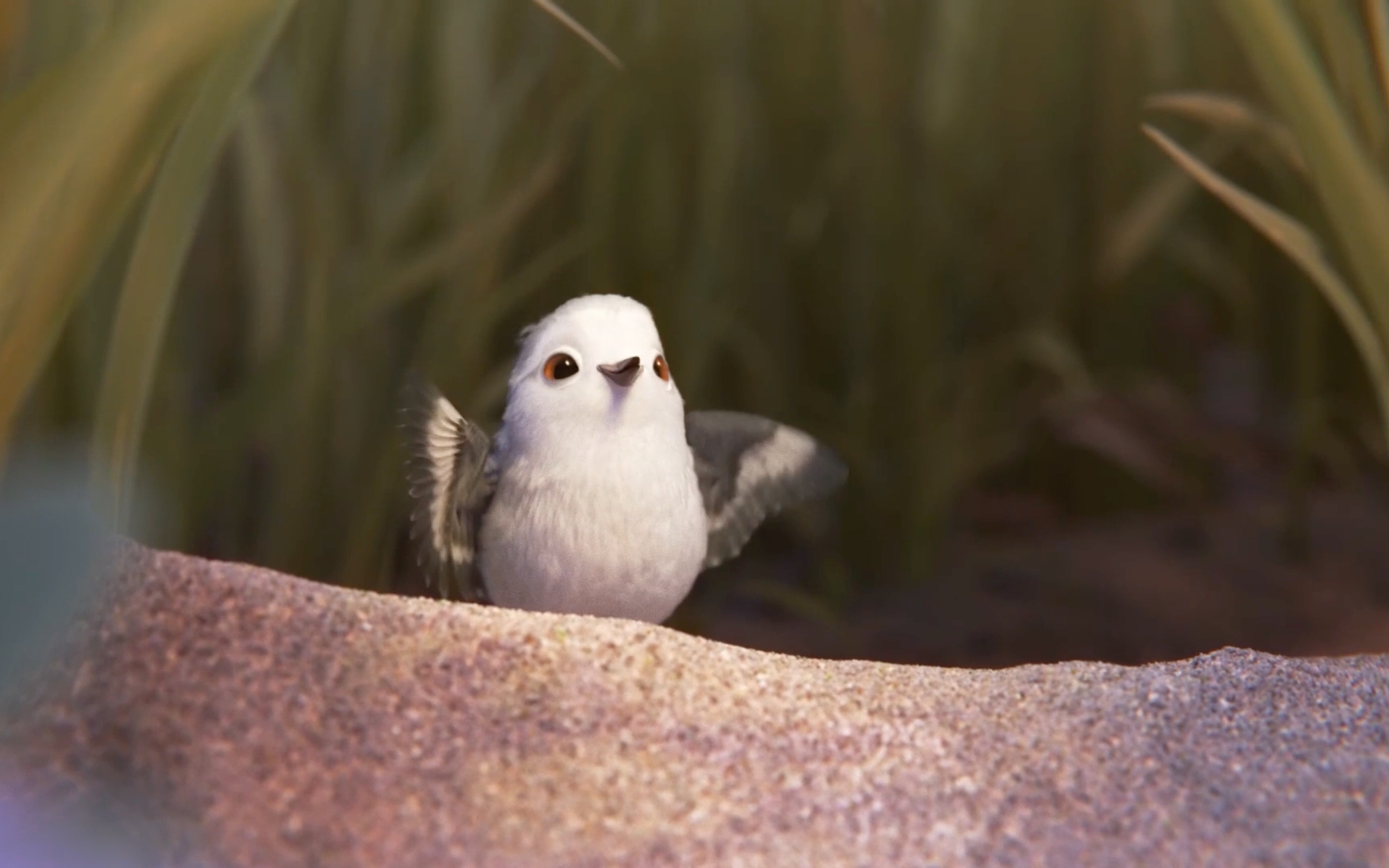 鹬,一部温馨的治愈电影