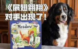Meadow 搜索结果 哔哩哔哩 Bilibili