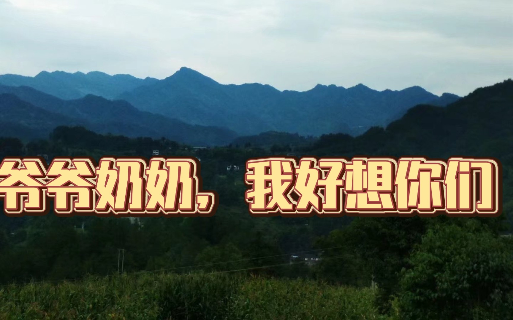 这个清晨,我好想你们