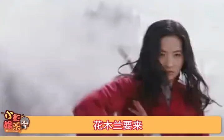 花木兰要来你这啥都买齐了,大爷真的是复合型人才