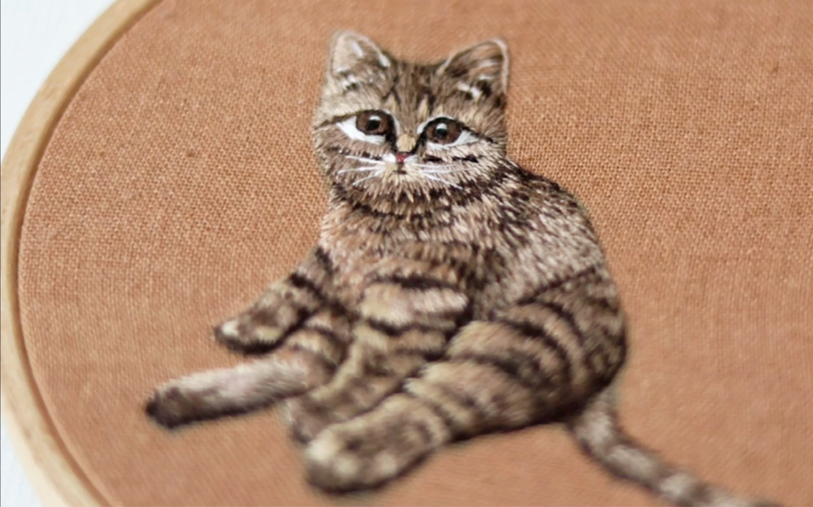 刺绣猫咪——折翼天使小雨