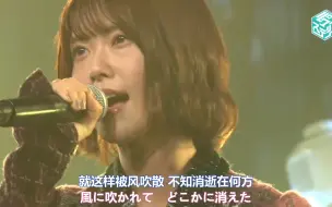 Download Video: 【中字】AKB48弱小可怜毛毛虫【歌姬演绎老阿姨solo好听哭,可惜唱错了一句词,作曲是曲奇作曲人】小田えりな,よわむしけむし@柏木由紀