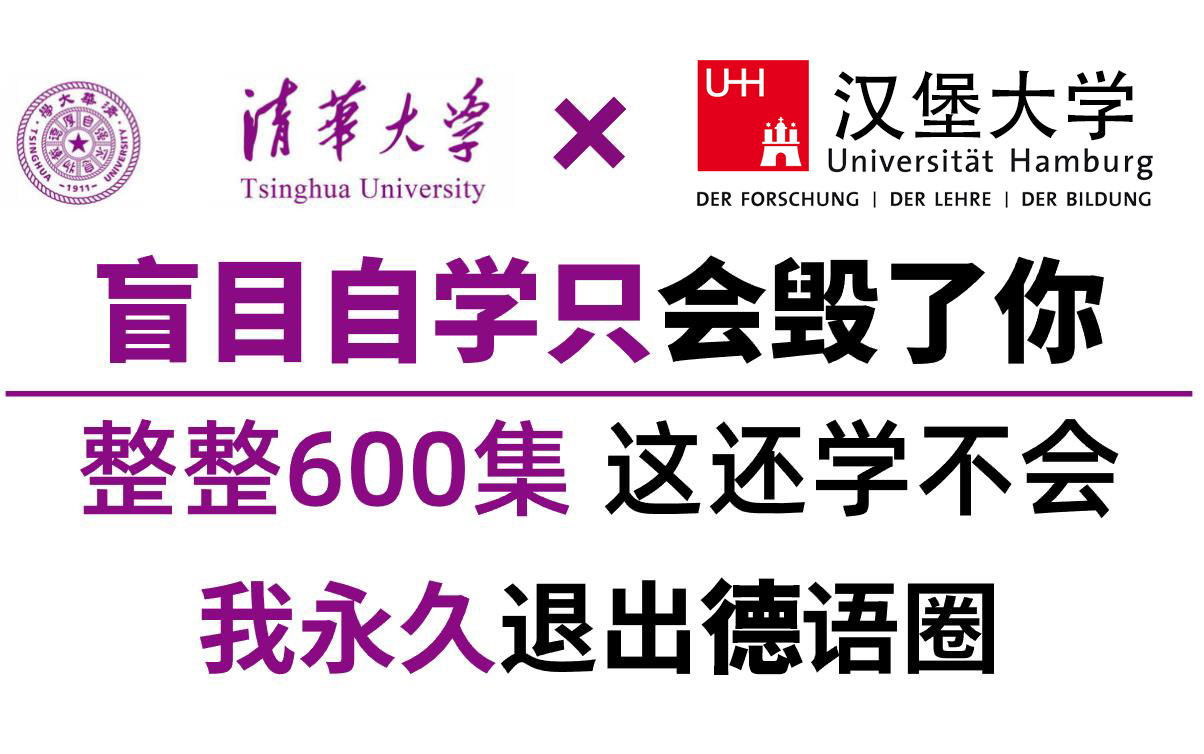 [图]【德语课程】清华大学和汉堡大学强强联手的德语教程！全程干货无废话！全套600集！超详细，零基础快进！！