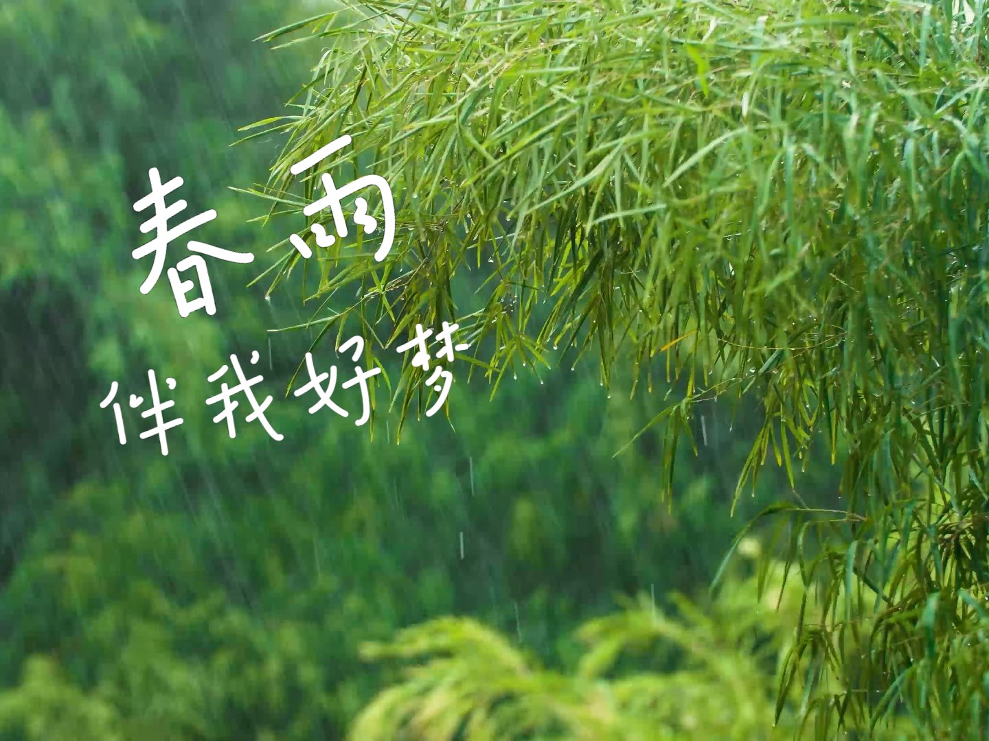 [图]助眠白噪音 解压舒缓 下雨 春雨绵绵，春困倦倦，只想睡个好觉