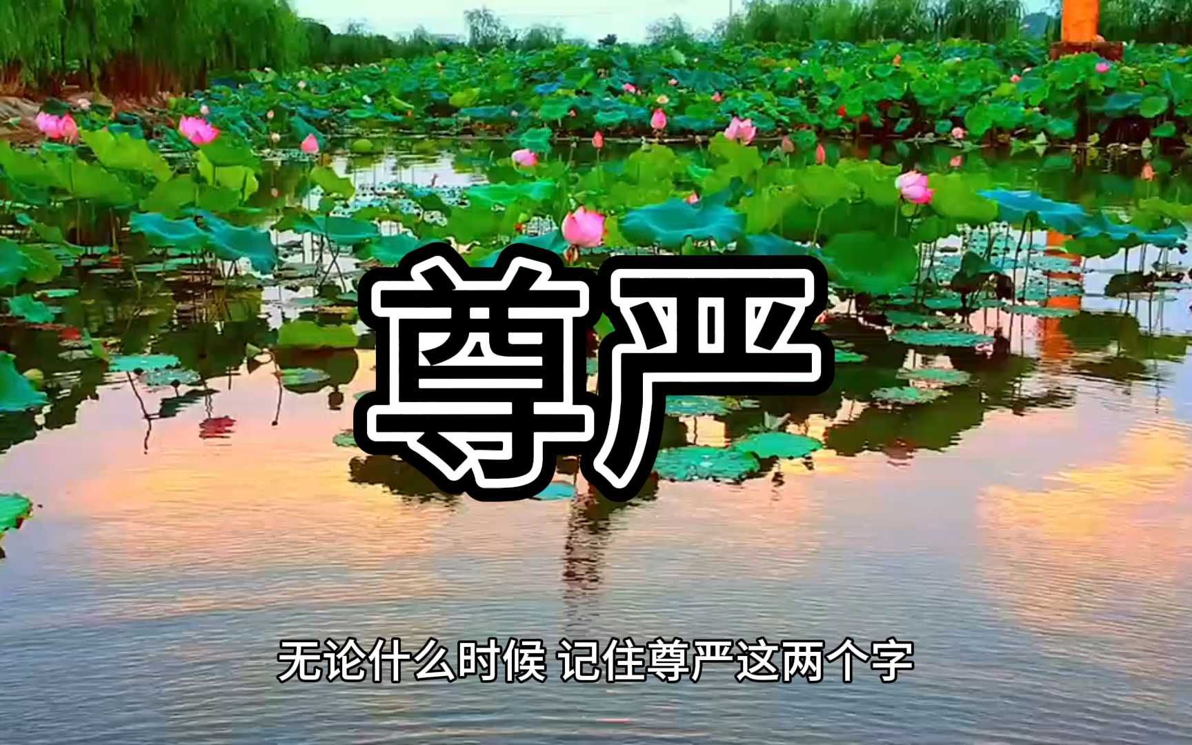 尊严表情包图片